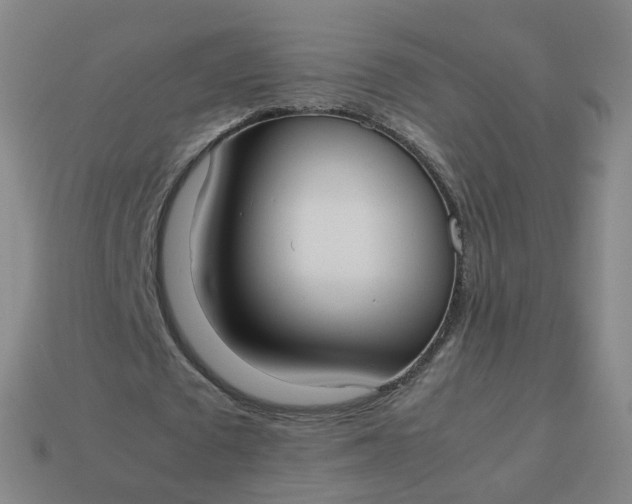 X0000113890673200910081809