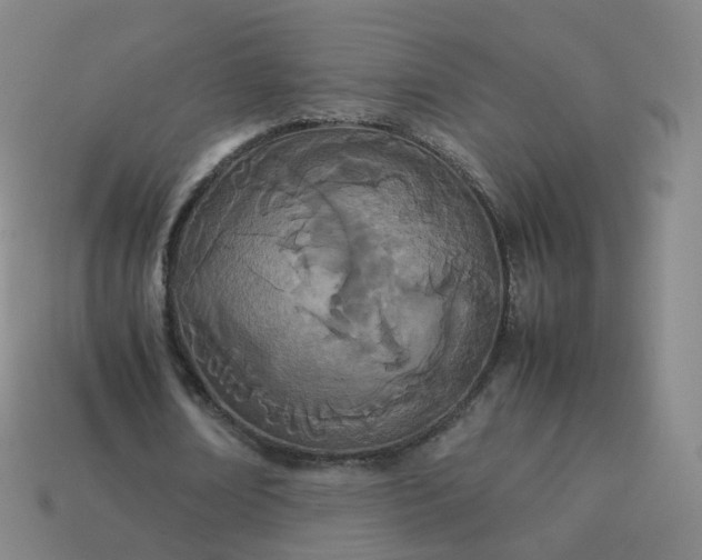 X0000113890674200910081809