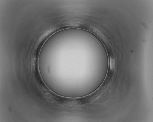 X0000113890675200910081809