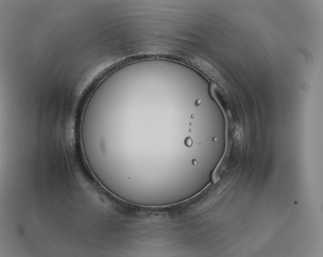 X0000113890676200910081809