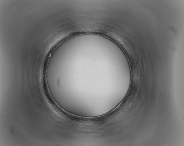 X0000113890677200910081809