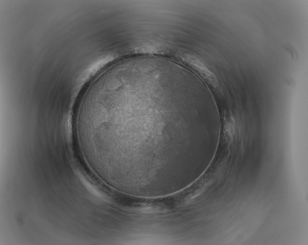 X0000113890678200910081809