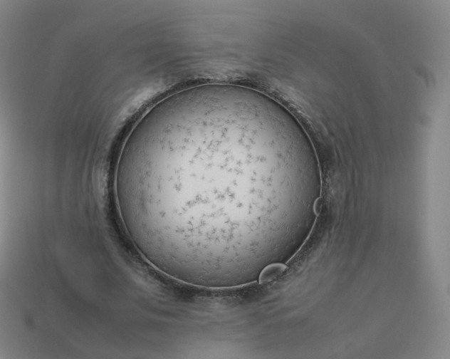 X0000113890679200910081809