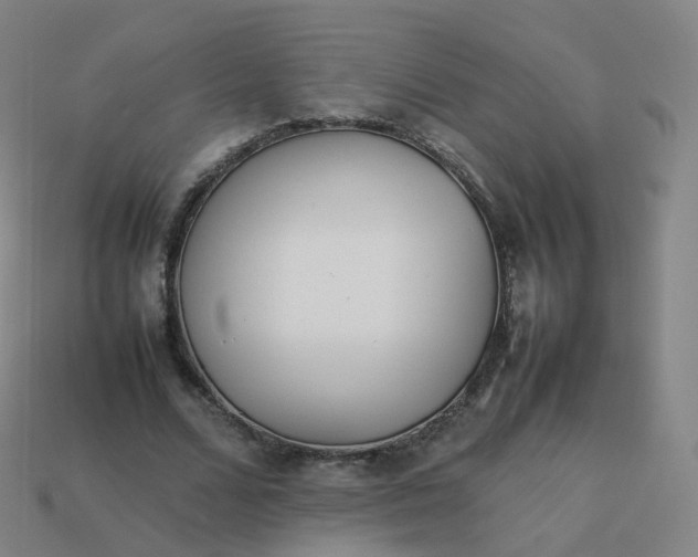 X0000113890680200910081809