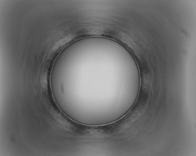 X0000113890681200910081809