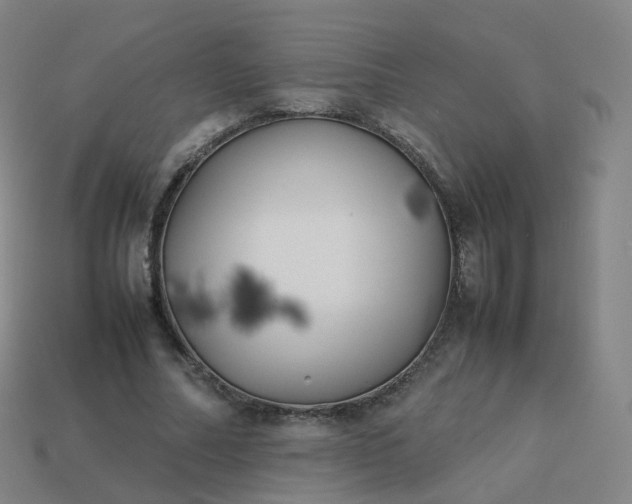 X0000113890682200910081809