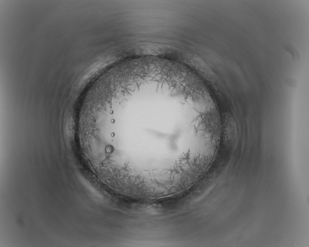 X0000113890683200910081809