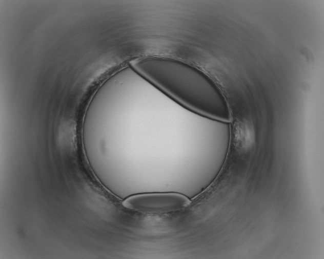 X0000113890684200910081809