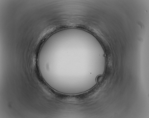 X0000113890685200910081809