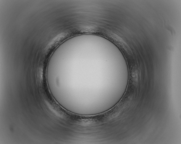 X0000113890686200910081809