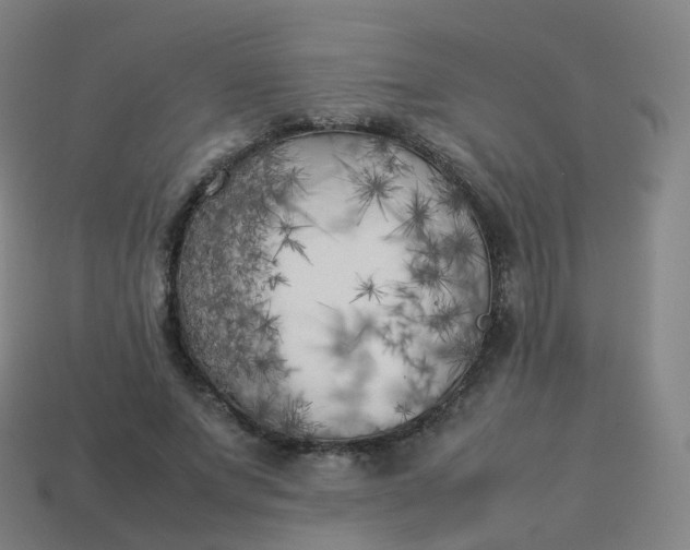 X0000113890687200910081809