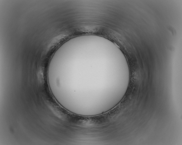 X0000113890688200910081809