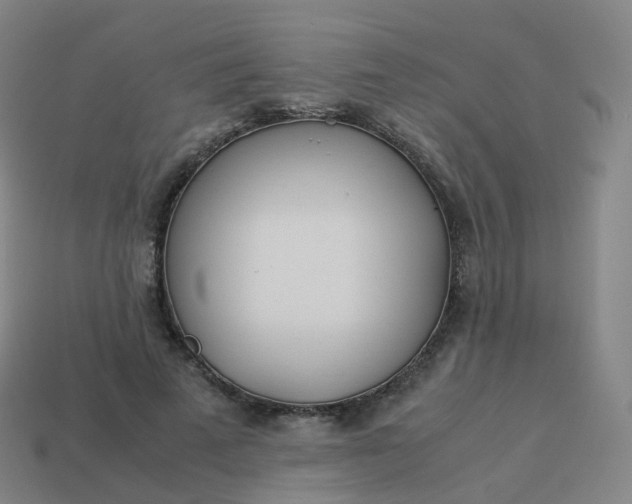 X0000113890689200910081809