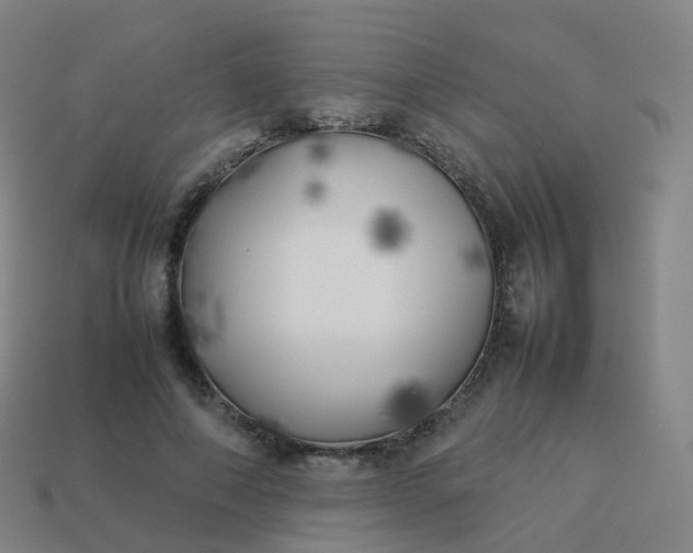 X0000113890690200910081809