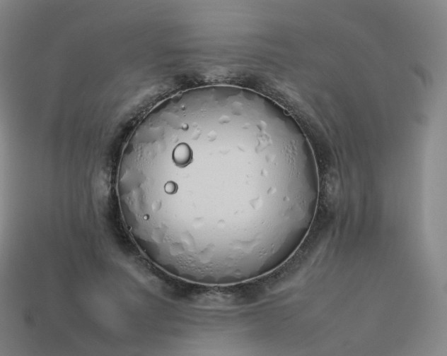 X0000113890691200910081809