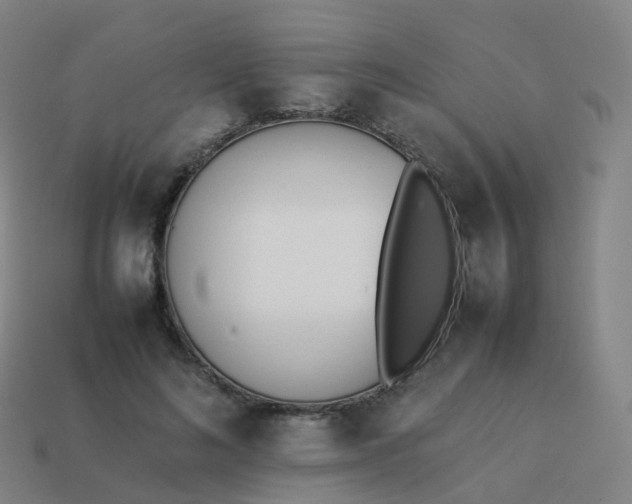 X0000113890692200910081809