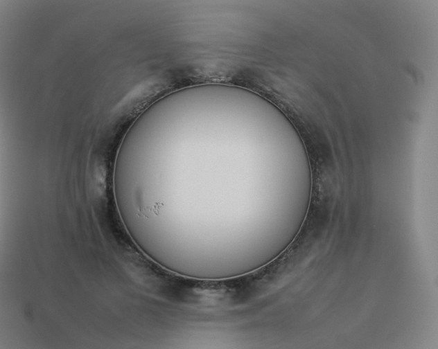 X0000113890693200910081809