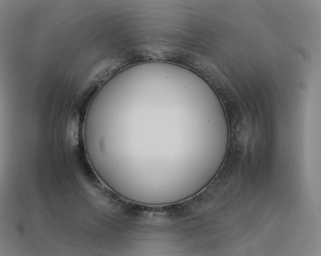 X0000113890694200910081809