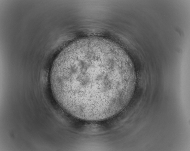 X0000113890695200910081809