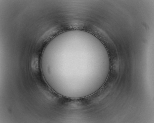 X0000113890696200910081809