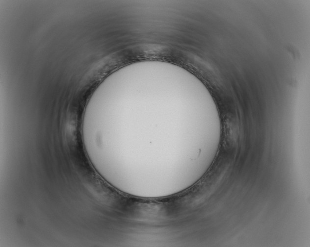 X0000113890698200910081809