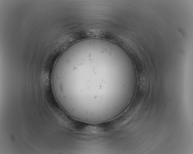 X0000113890699200910081809