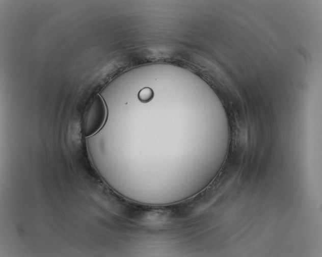 X0000113890700200910081808