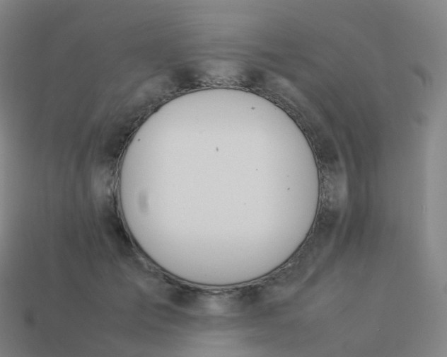 X0000113890701200910081808