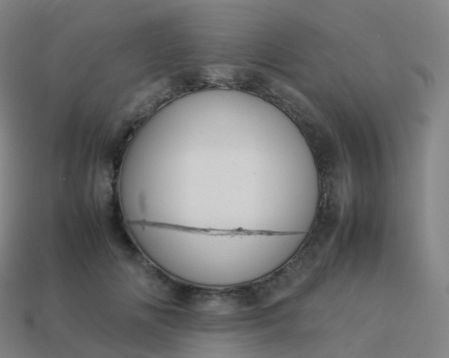 X0000113890702200910081808