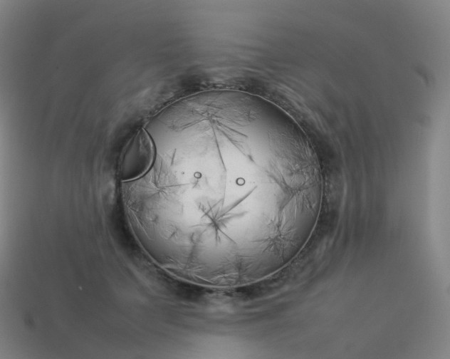 X0000113890703200910081808