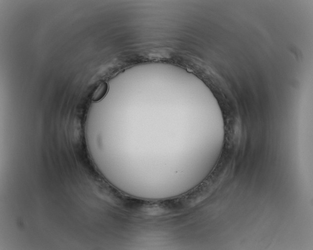 X0000113890704200910081808