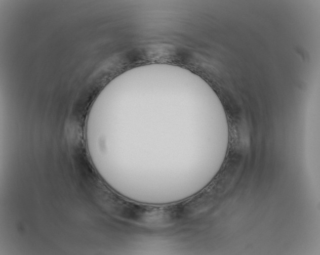 X0000113890705200910081808