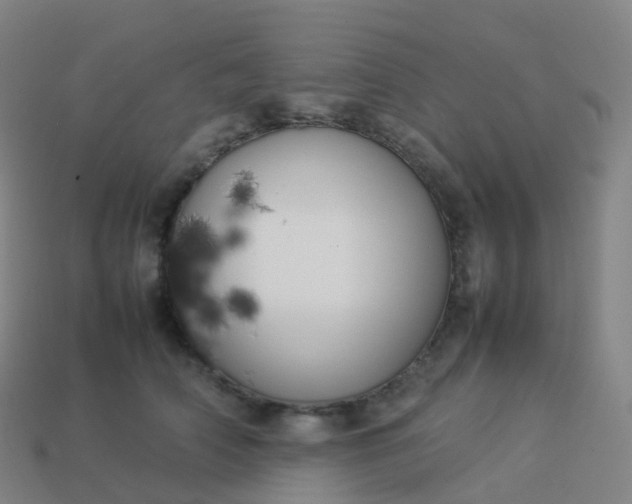 X0000113890706200910081808