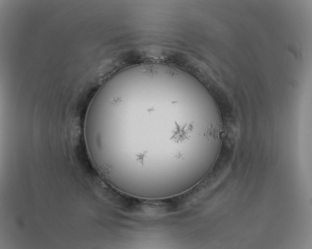 X0000113890707200910081808