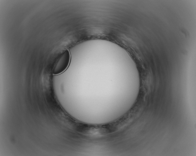 X0000113890708200910081808