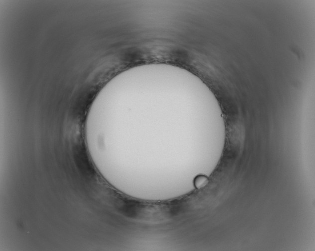 X0000113890709200910081808