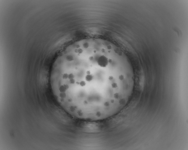 X0000113890710200910081808