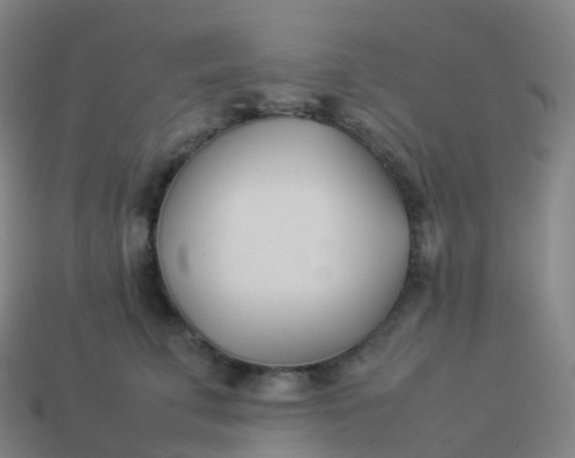 X0000113890711200910081808