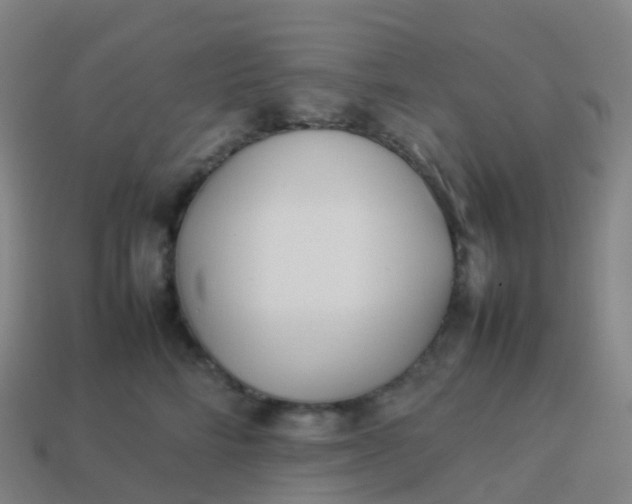 X0000113890712200910081808