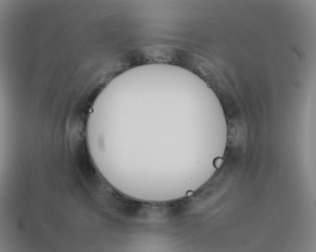 X0000113890713200910081808