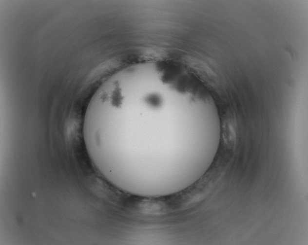 X0000113890714200910081808