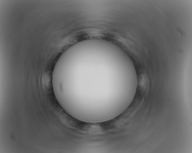 X0000113890715200910081808