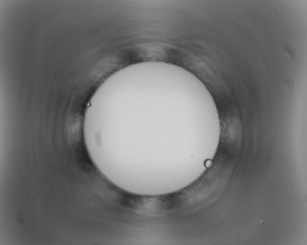 X0000113890717200910081808