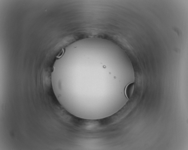 X0000113890719200910081808