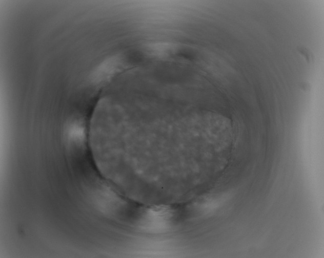 X0000113890720200910081808