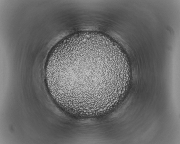 X0000113890721200910081808