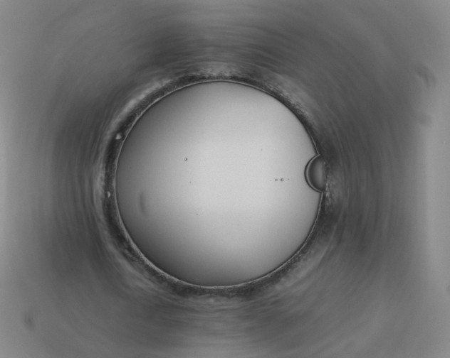 X0000113890722200910081808