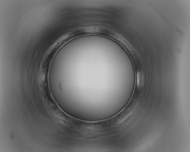 X0000113890723200910081808