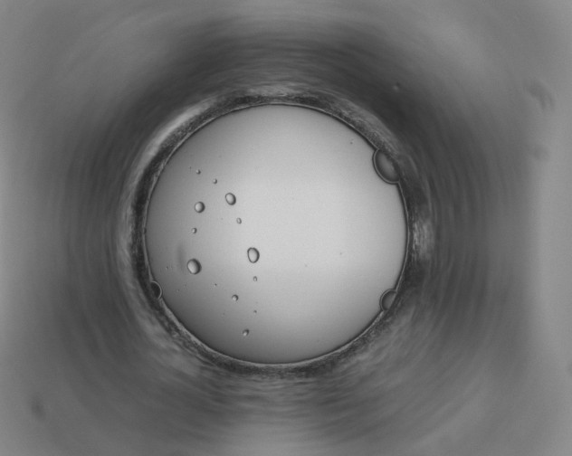 X0000113890724200910081808