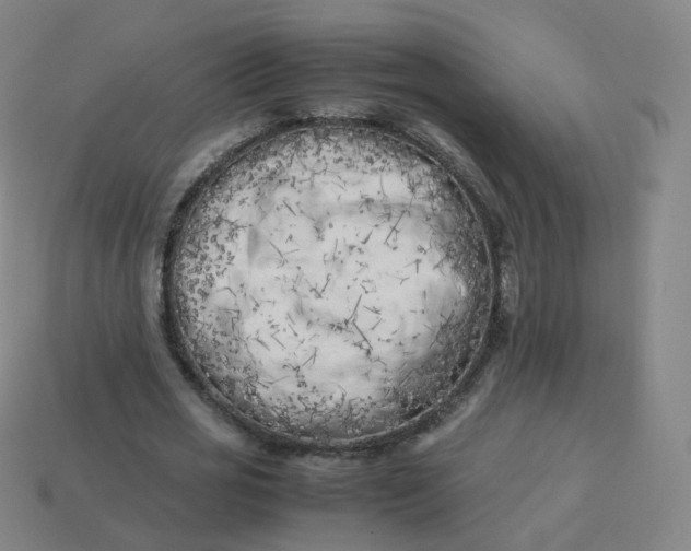 X0000113890725200910081808